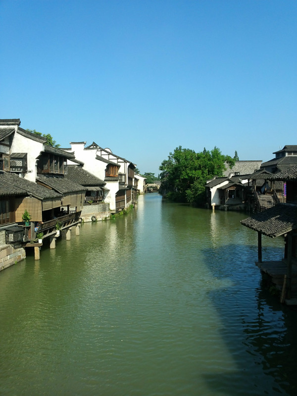 浙江，梦想起航之地，学习铸就未来