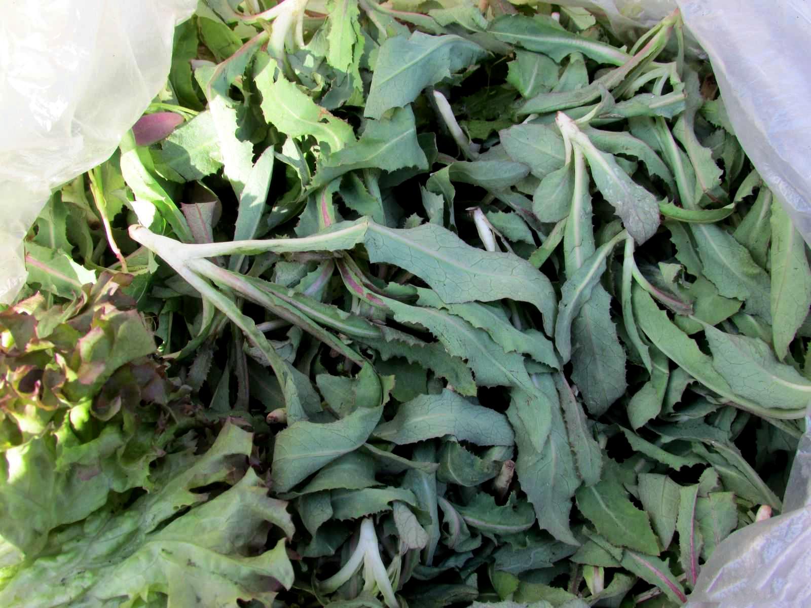 本溪,美丽山水之城与悠久历史文化的交相辉映