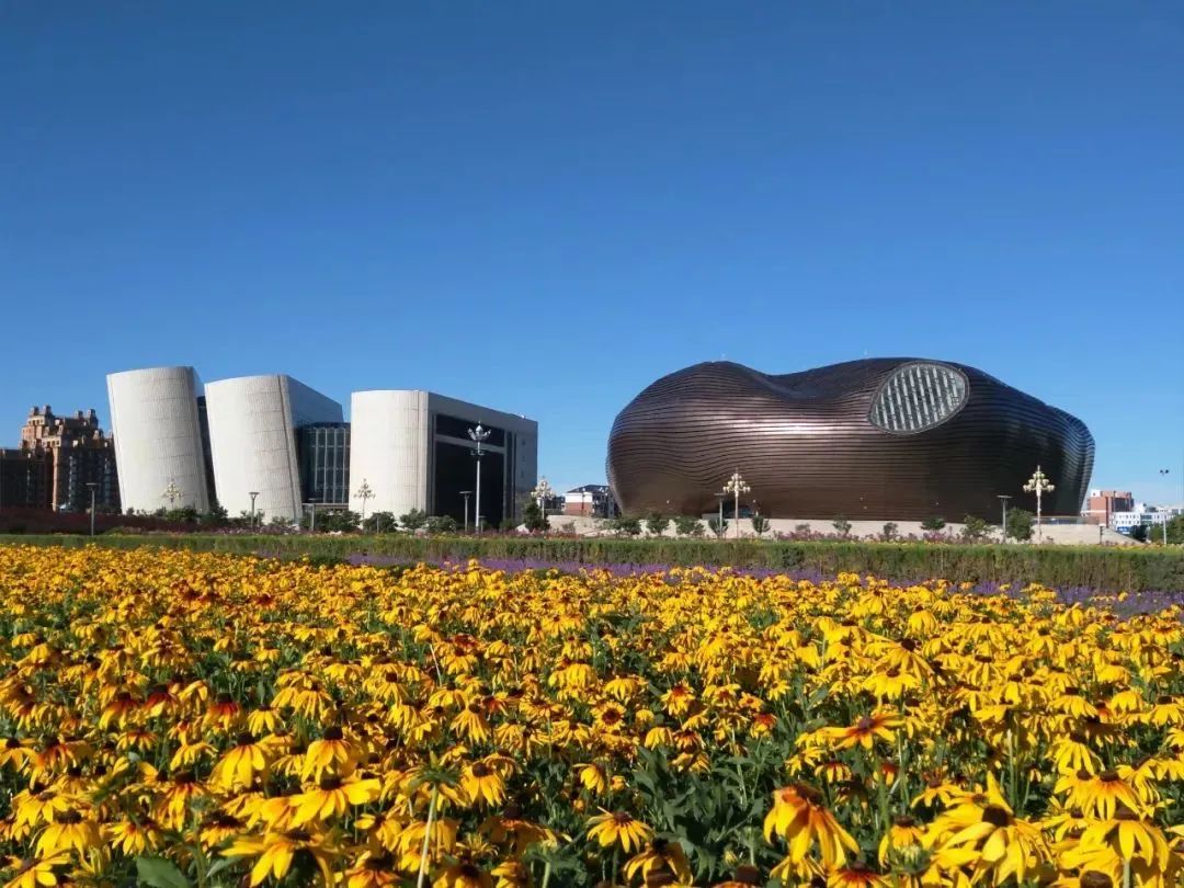 鄂尔多斯，梦想之地的温暖召唤之旅