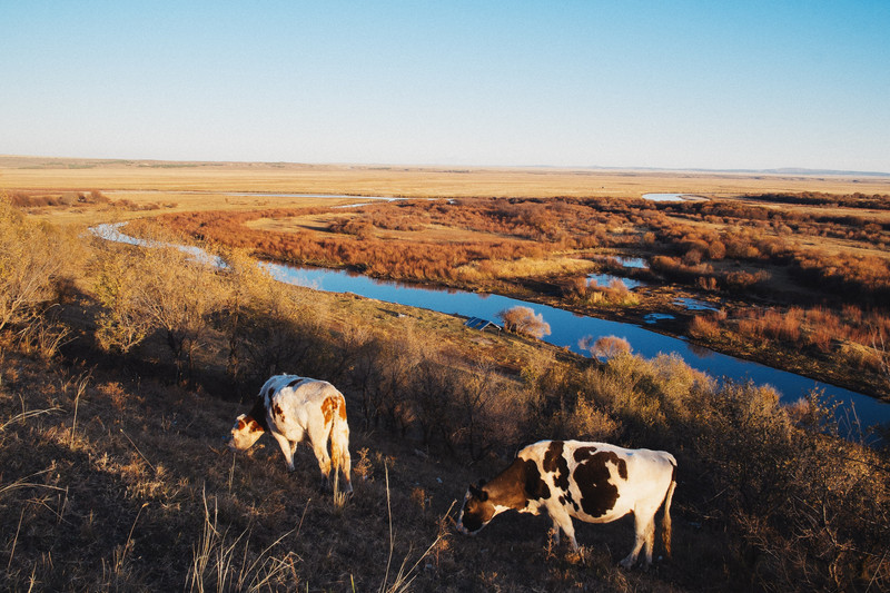 科技点亮草原未来，呼伦贝尔新生活体验
